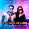 About Hai Re Toi Gori Song